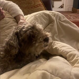 Meet your Posher, Marybeth